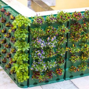 Minigarden Vertical, vertikální zahrádka, domácí pěstování, modulární květináče, pěstování zeleniny, balkonová zahrádka, Minigarden produkty, odolný proti UV, recyklovatelný materiál, polypropylenový kopolymér